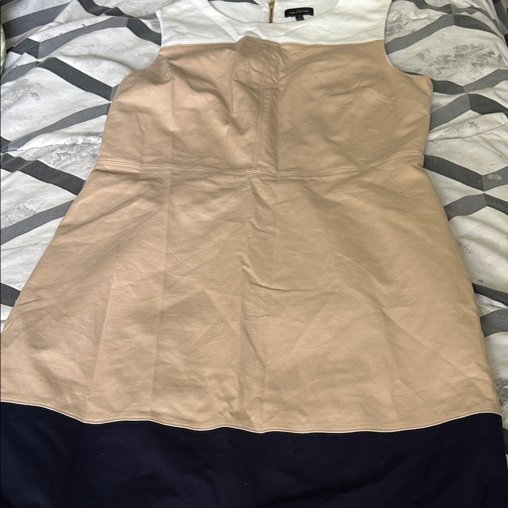 The Limited Tan and Navy Mini Dress